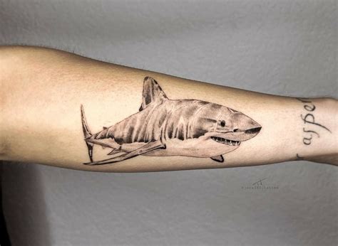 small shark tattoo|tiger shark tattoo designs.